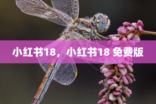 小红书18，小红书18 免费版