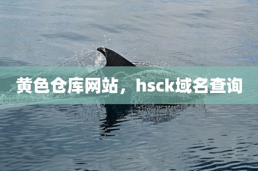 黄色仓库网站，hsck域名查询