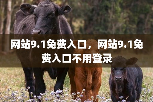 网站9.1免费入口，网站9.1免费入口不用登录