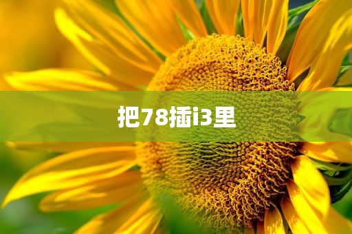 把78插i3里