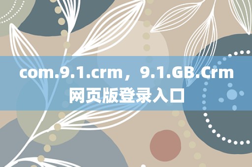 com.9.1.crm，9.1.GB.Crm网页版登录入口