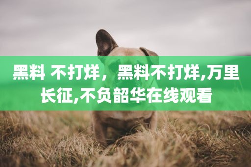 黑料 不打烊，黑料不打烊,万里长征,不负韶华在线观看