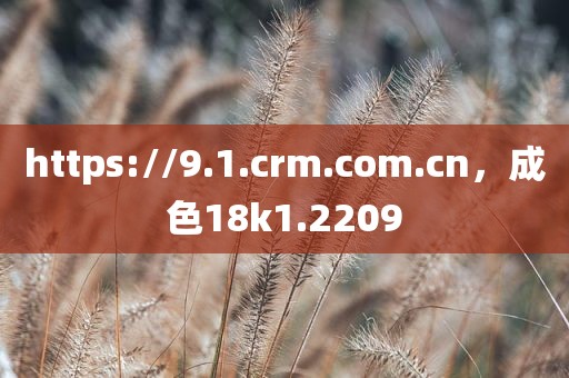 https://9.1.crm.com.cn，成色18k1.2209