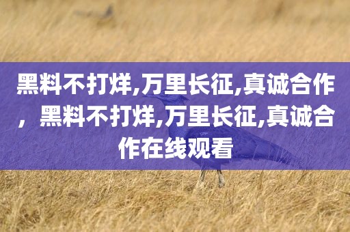 黑料不打烊,万里长征,真诚合作，黑料不打烊,万里长征,真诚合作在线观看