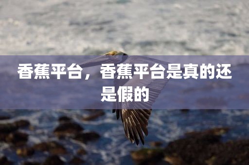 香蕉平台，香蕉平台是真的还是假的