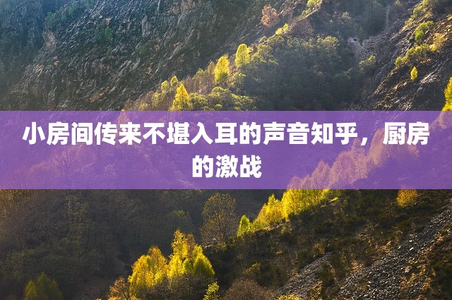 小房间传来不堪入耳的声音知乎，厨房的激战