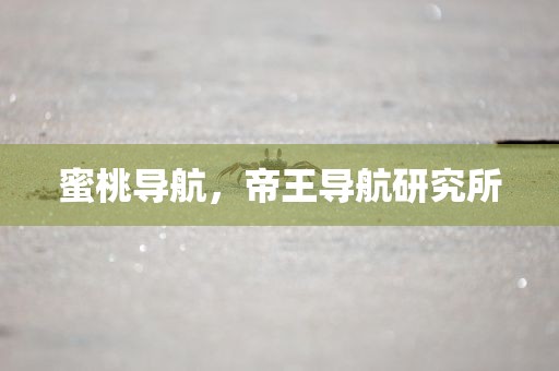 蜜桃导航，帝王导航研究所