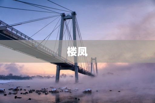 楼凤