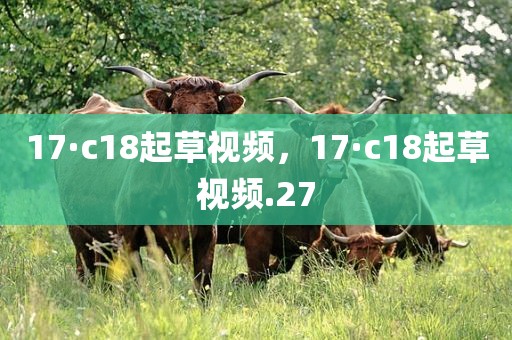 17·c18起草视频，17·c18起草视频.27