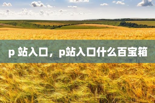 p 站入口，p站入口什么百宝箱
