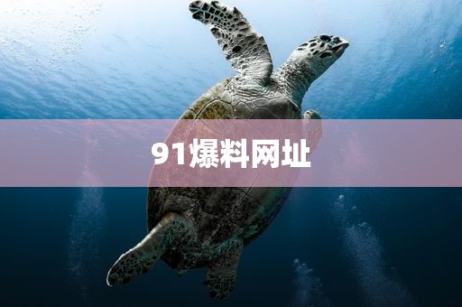91爆料网址