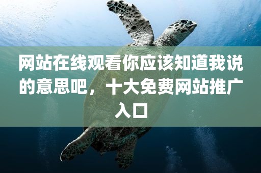 网站在线观看你应该知道我说的意思吧，十大免费网站推广入口