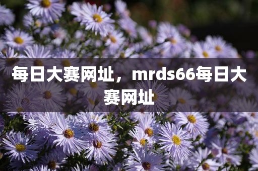 每日大赛网址，mrds66每日大赛网址