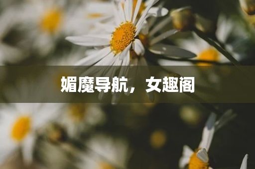 媚魔导航，女趣阁