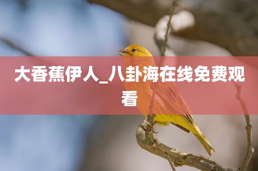 大香蕉伊人_八卦海在线免费观看