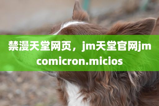禁漫天堂网页，jm天堂官网jmcomicron.micios