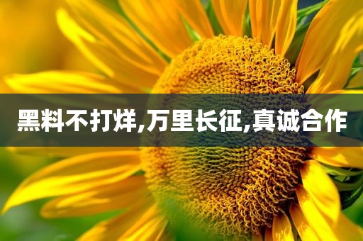 黑料不打烊,万里长征,真诚合作