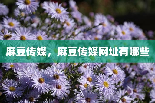 麻豆传媒，麻豆传媒网址有哪些