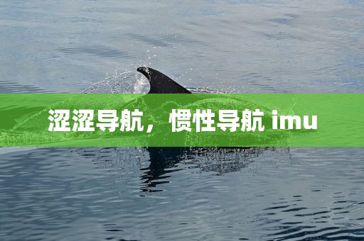 涩涩导航，惯性导航 imu