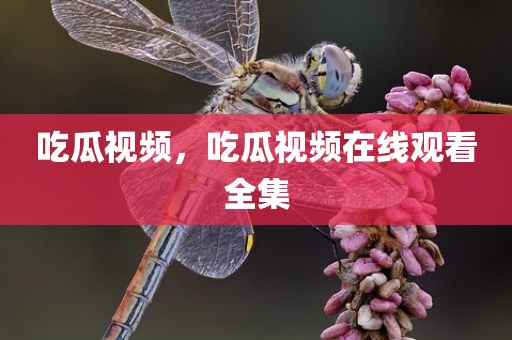 吃瓜视频，吃瓜视频在线观看全集