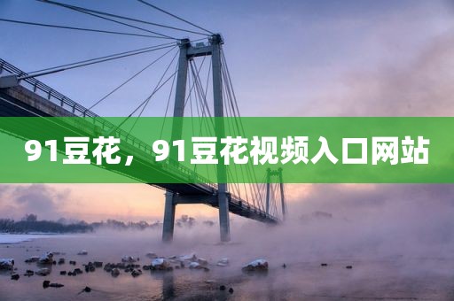 91豆花，91豆花视频入口网站