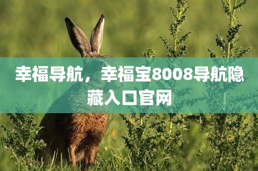 幸福导航，幸福宝8008导航隐藏入口官网