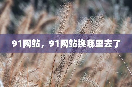 91网站，91网站换哪里去了