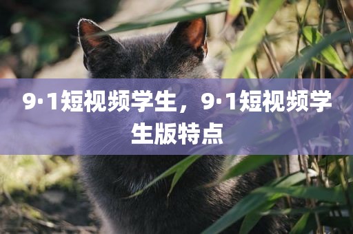 9·1短视频学生，9·1短视频学生版特点