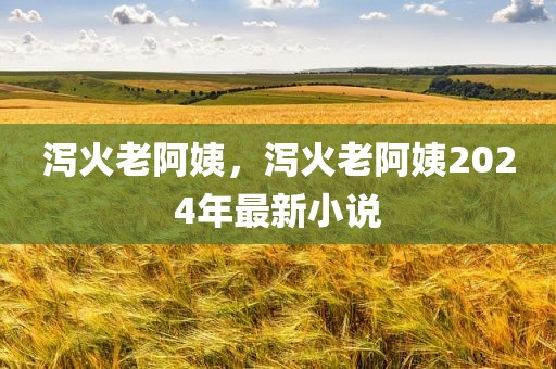 泻火老阿姨，泻火老阿姨2024年最新小说