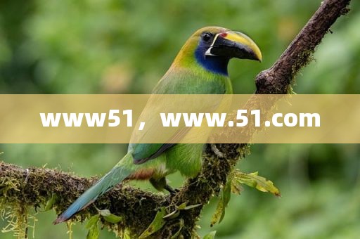 www51，www.51.com