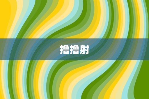 撸撸射