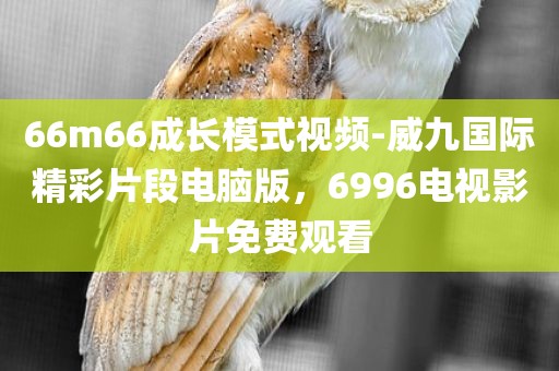 66m66成长模式视频-威九国际精彩片段电脑版，6996电视影片免费观看