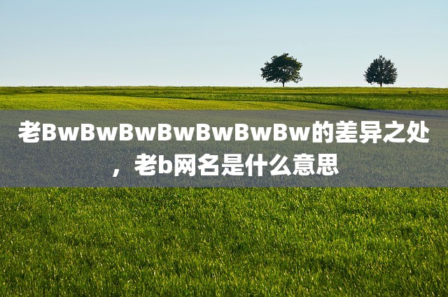 老BwBwBwBwBwBwBw的差异之处，老b网名是什么意思