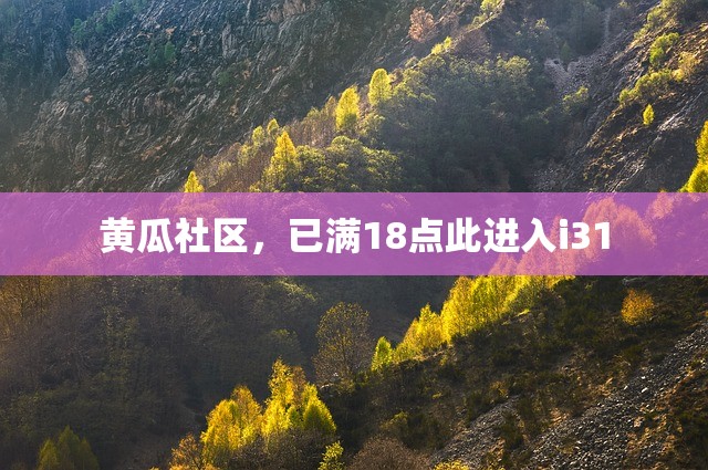 黄瓜社区，已满18点此进入i31