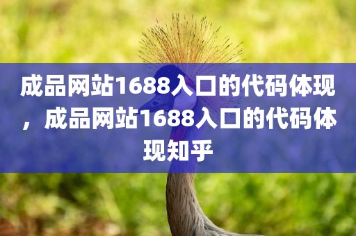 成品网站1688入口的代码体现，成品网站1688入口的代码体现知乎