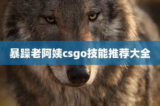 暴躁老阿姨csgo技能推荐大全