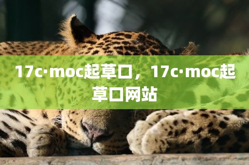 17c·moc起草口，17c·moc起草口网站