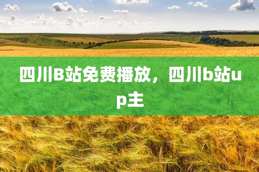 四川B站免费播放，四川b站up主
