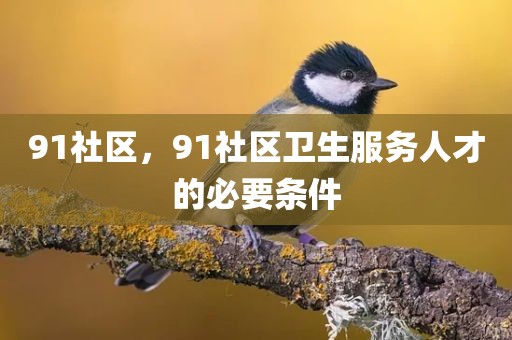 91社区，91社区卫生服务人才的必要条件