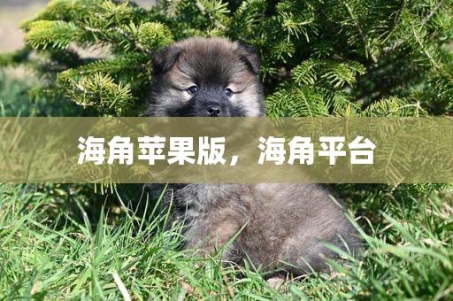 海角苹果版，海角平台