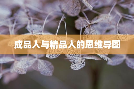 成品人与精品人的思维导图