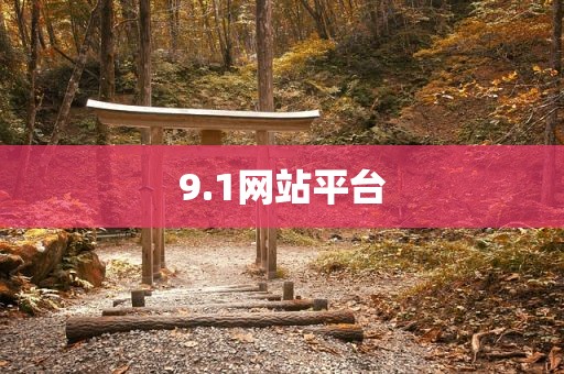 9.1网站平台