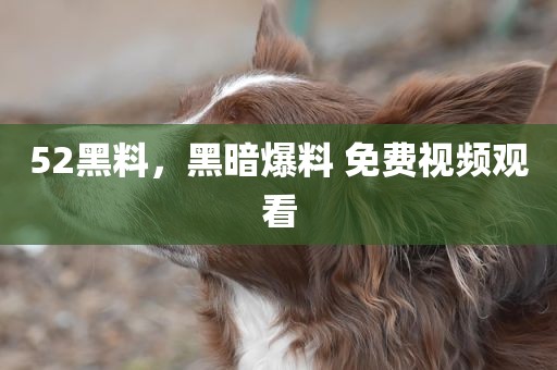 52黑料，黑暗爆料 免费视频观看