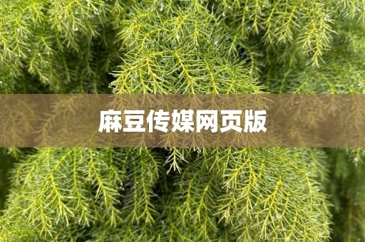 麻豆传媒网页版