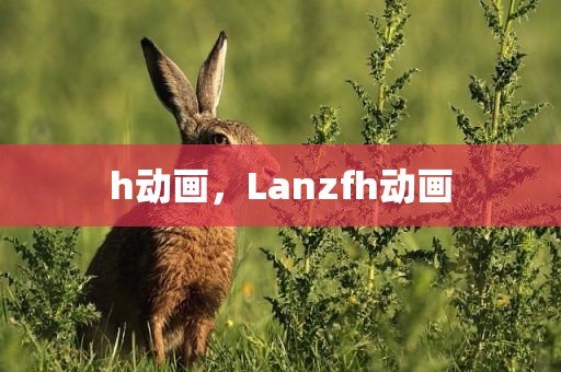 h动画，Lanzfh动画