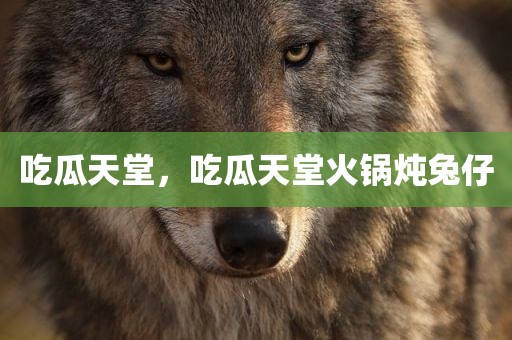 吃瓜天堂，吃瓜天堂火锅炖兔仔