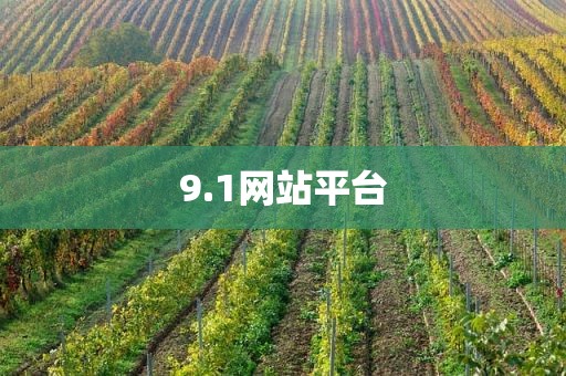 9.1网站平台