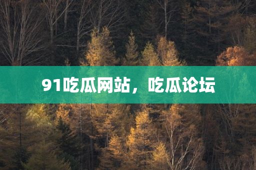 91吃瓜网站，吃瓜论坛