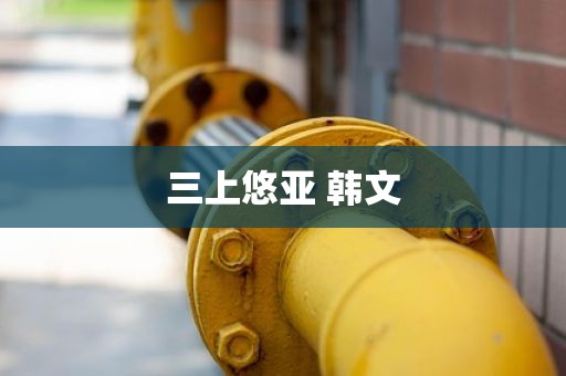 三上悠亚 韩文