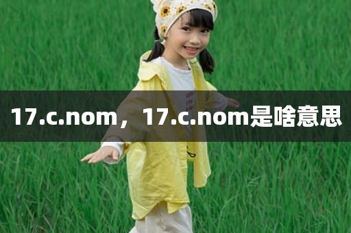 17.c.nom，17.c.nom是啥意思